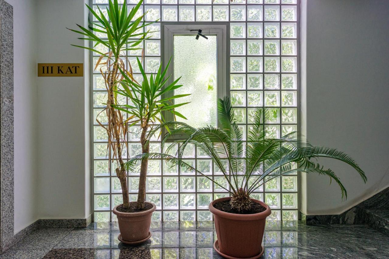 "Didu Studio" 20 Min Walk To Old Town Dubrovnik Exterior foto